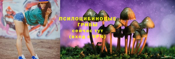mdpv Балабаново