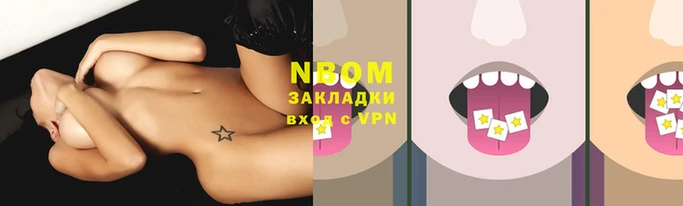 стаф Инта