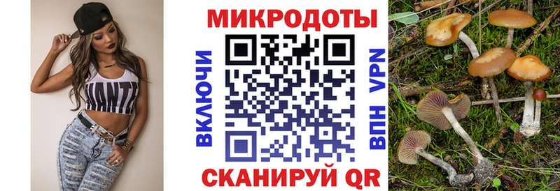 Галлюциногенные грибы Cubensis  Свободный 